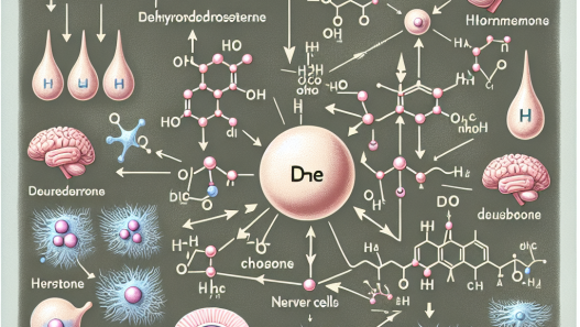 Wie Dehydroepiandrosteron das Nervensystem beeinflusst